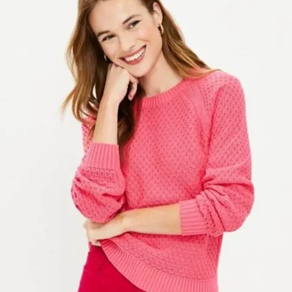 Loft Pointelle Raglan Stitch Knit Sweater